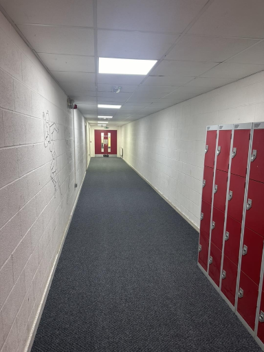 The Fantastic Floor 16 Medium